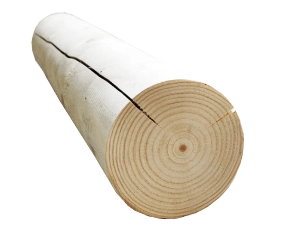 heartwood