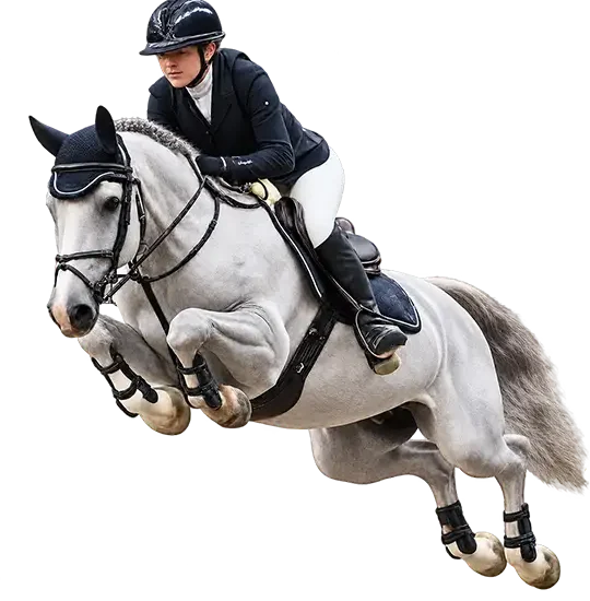 grey-jumper Sponsorhinder för hästhoppning från Newmarket