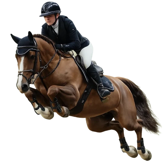 Sponsorhinder för hästhoppning från Newmarket
